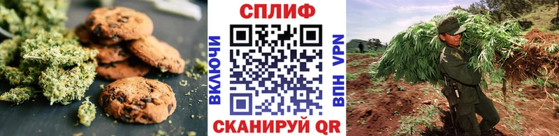 наркотики  Ивантеевка  Cannafood марихуана 
