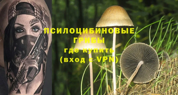 мдма Дмитриев