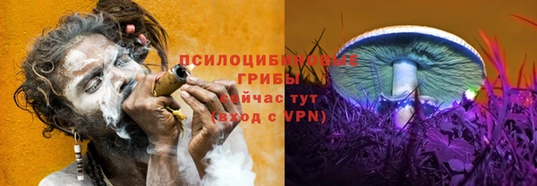 альфа пвп Дмитров