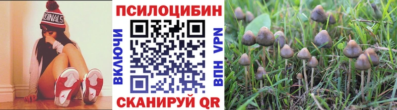 гидра ССЫЛКА  дарнет шоп  Ивантеевка  Псилоцибиновые грибы Magic Shrooms 